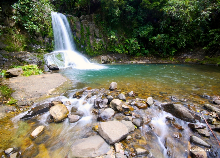 things to see in Coromandel Peninsula