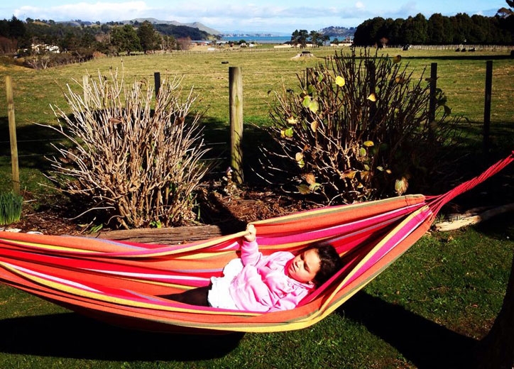 Tui Lodge Coromandel