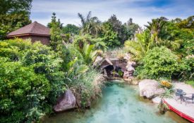 The Lost Spring