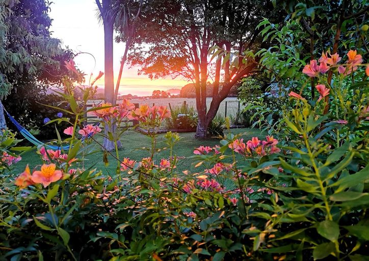 Tui Lodge Coromandel