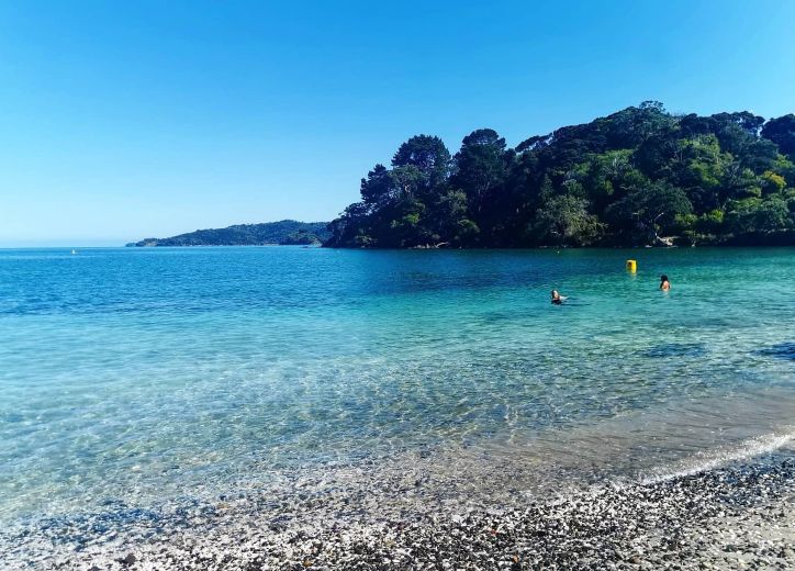 Tui Lodge Coromandel